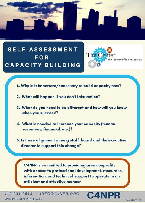 Assessment of capacity building requirements for an effective and